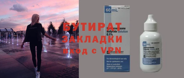 гашик Алексин