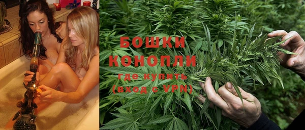 гашик Алексин