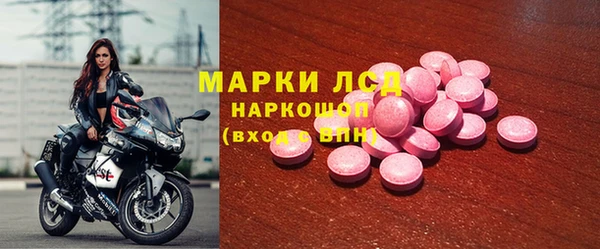 гашик Алексин