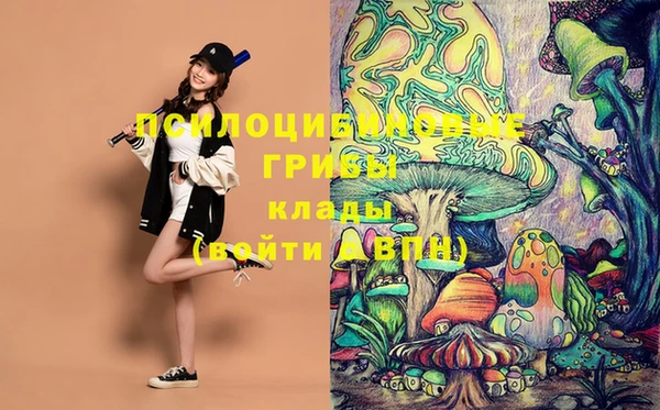 кокс Абаза