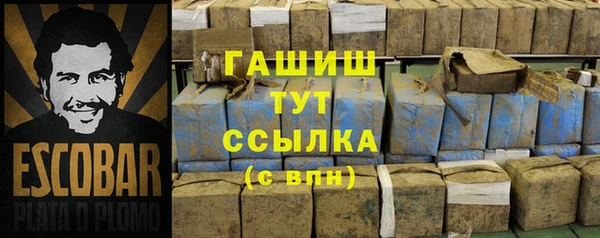 ешки Ельня
