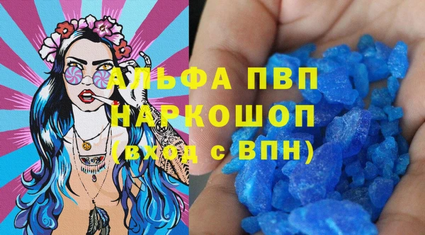 гашик Алексин