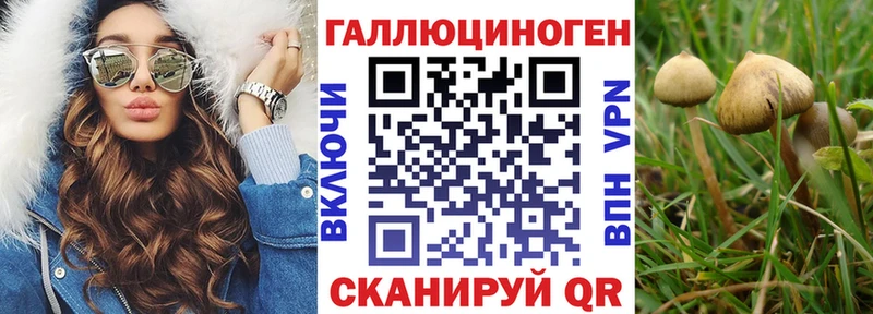 Псилоцибиновые грибы Psilocybe  Саранск 